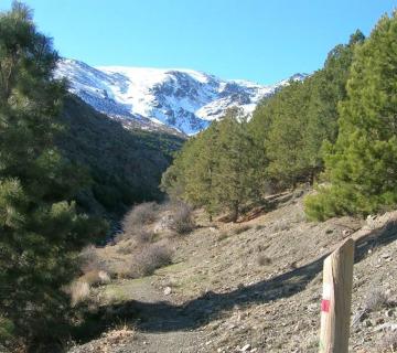 sendero sulayr