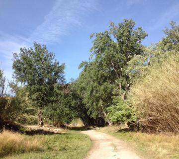 PR-A 275 Sendero del Poyo - Lijar  