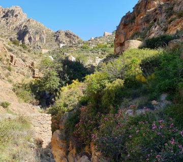 Los Molinos de Huebro-Ruta del Agua