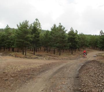 FIÑANA-SIERRA DE BAZA-FIÑANA (Sª Baza)  