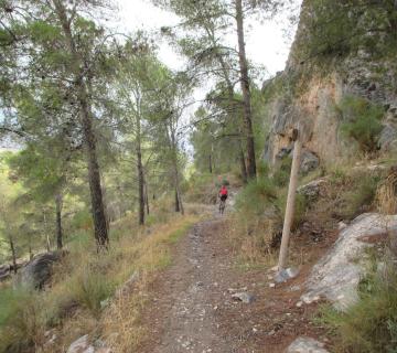 ALHAMA DE ALMERIA - REFUGIO LA ZARBA - SENDERO LOS BARRANQUILLOS (Sª Gádor)