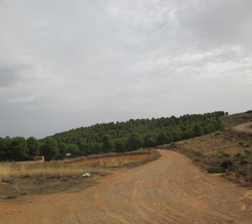 ALHAMA DE ALMERIA - REFUGIO LA ZARBA - SENDERO LOS BARRANQUILLOS (Sª Gádor)