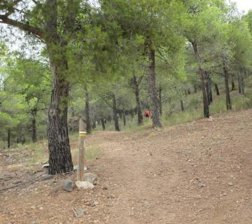 ALHAMA DE ALMERIA - REFUGIO LA ZARBA - SENDERO LOS BARRANQUILLOS (Sª Gádor)