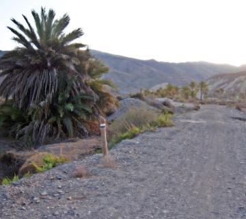 Los Baños de Sierra Alhamilla (SL-A 162) - (Sierra Alhamilla)