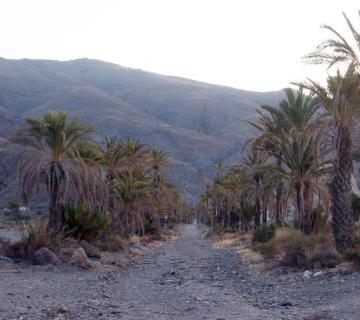 Los Baños de Sierra Alhamilla (SL-A 162) - (Sierra Alhamilla)
