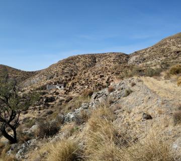 0423-RAGOL-RAMBLA Y VEREDA DEL ZAINO-CORTIJOS DEL ZAINO Y COCON ALTO-RAMBLA DE GUADIX