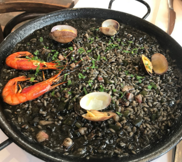 SAGONI4