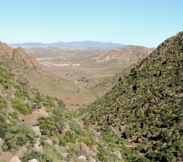 barranco-de-requena