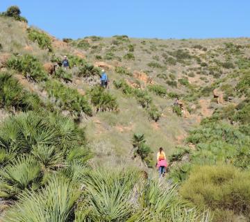 barranco-del-negro