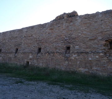 bedar5