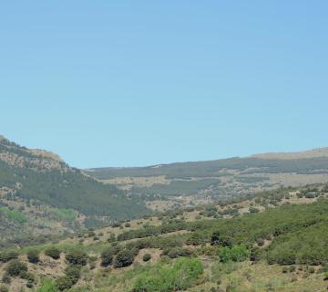 dscn2742