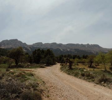 la umbría del maimón