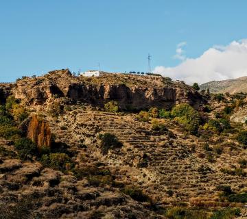 pago-del-tejar-scaled