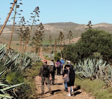 tramo-final-sendero-de-requena