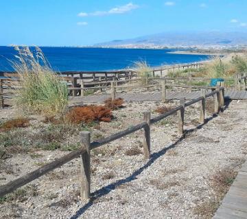 Almería-El Toyo. Anthercas