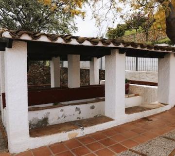 Fuente Temprana