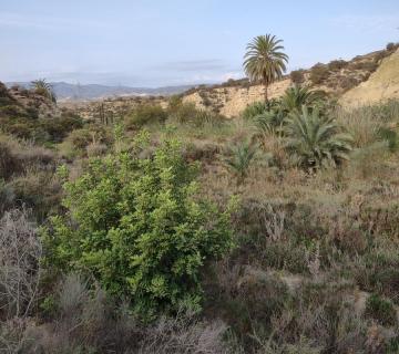 Cerro del Espíritu Santo