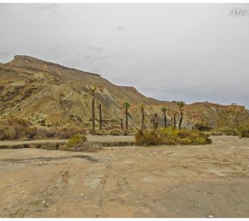 Desierto de Tabernas