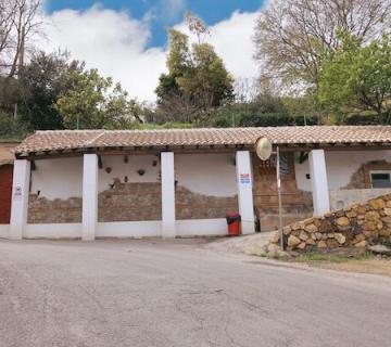 Fuente Temprana
