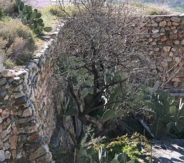 ALCAZABA DE LAUJAR DE ANDARAX