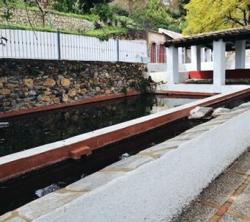 Fuente Temprana