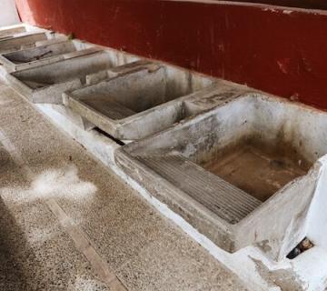 Fuente Temprana