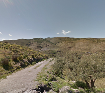 PARQUE NATURAL (NACIMIENTO)