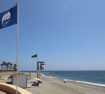 PLAYA DEL CENSO