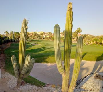 THE CLUB HOUSE