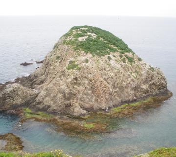 LA ISLETA DEL MORO