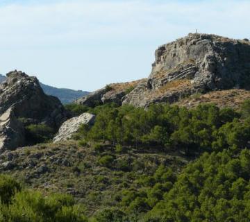 CASTILLO DE PATERNA DEL RIO