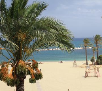 PLAYA DE GARRUCHA