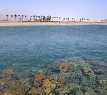 PLAYA DEL CENSO