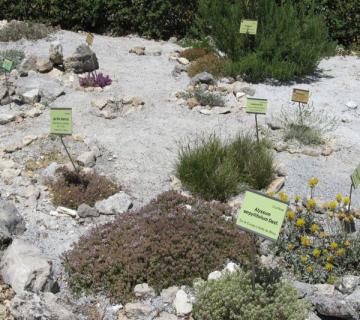 Jardín Botánico La Umbría de la Virgen