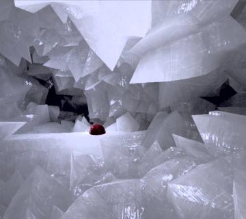 LA GEODA DE PULPÍ