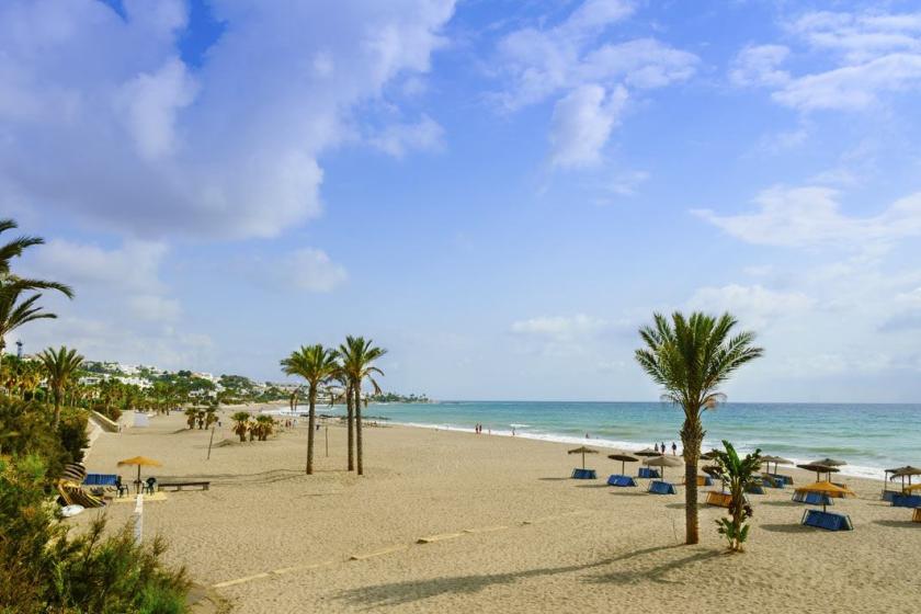 el palmeral