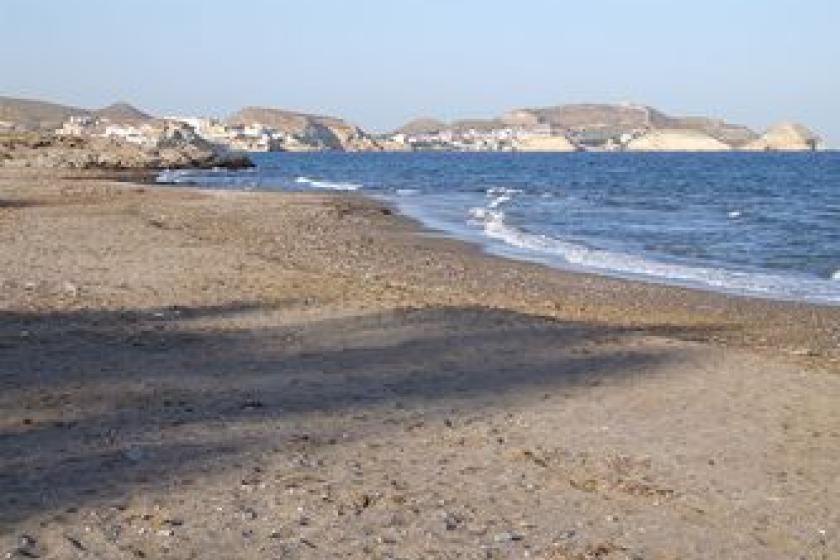 playa entrevista