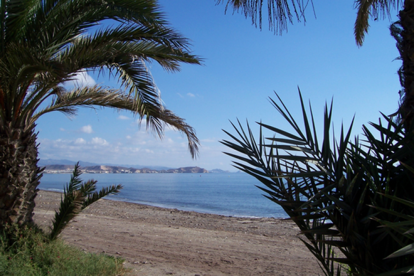pozo del esparto