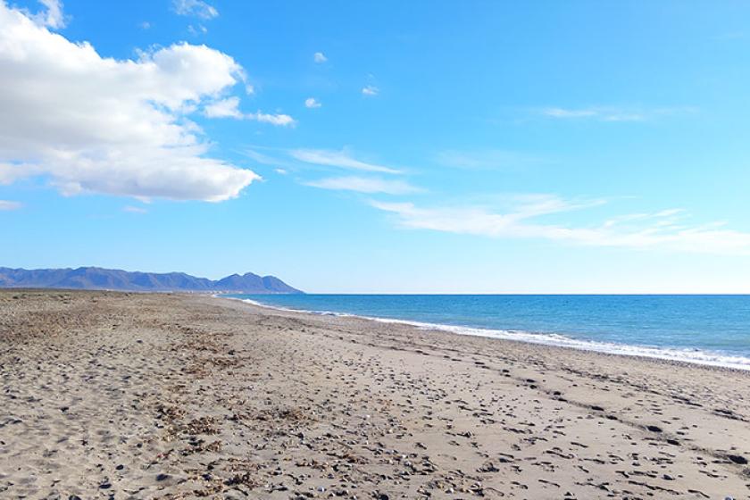 playa torregarcia