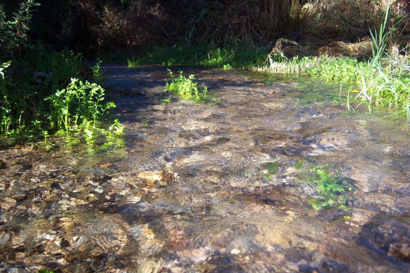 Fondón - Las Acequias del Río (SL-A 181) - (Sierra de Gádor)