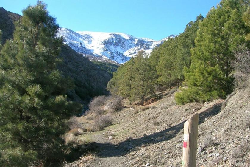 sendero sulayr