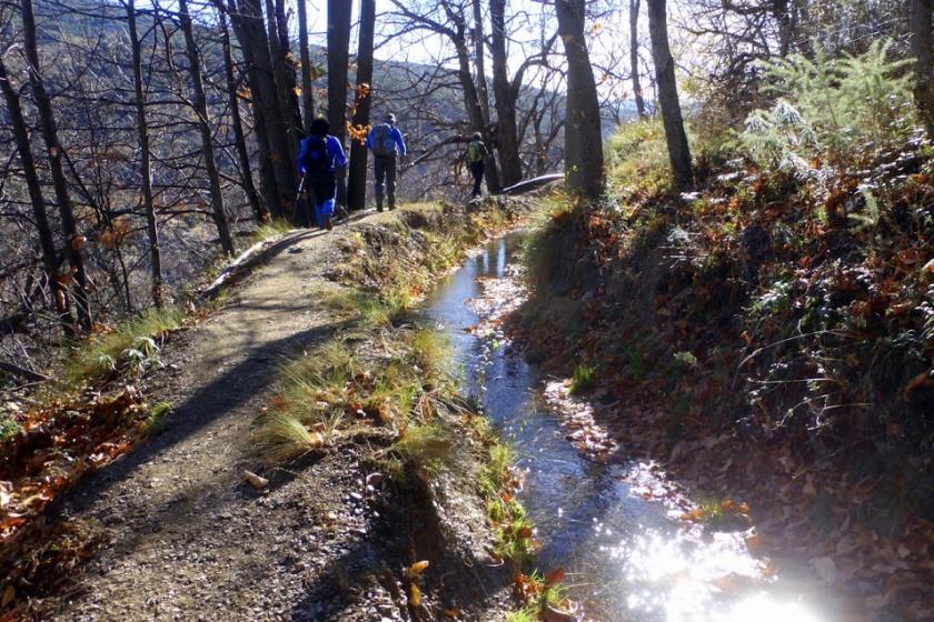 Otoño en la senda del Agua. Castañar de Paterna del Río