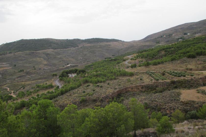 ALHAMA DE ALMERIA - REFUGIO LA ZARBA - SENDERO LOS BARRANQUILLOS (Sª Gádor)