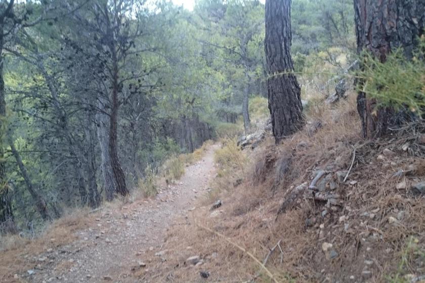 Los Lavaderos de Berja ( PR-A 337)- (Sierra de Gádor)