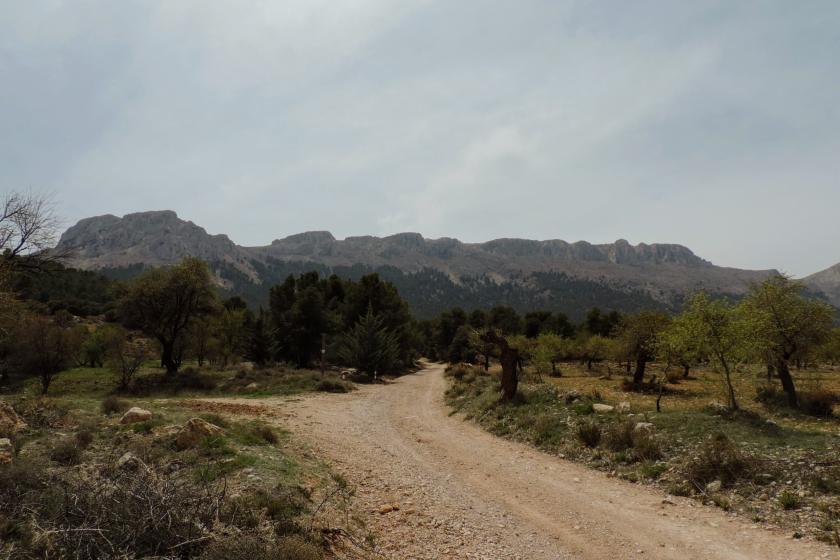la umbría del maimón