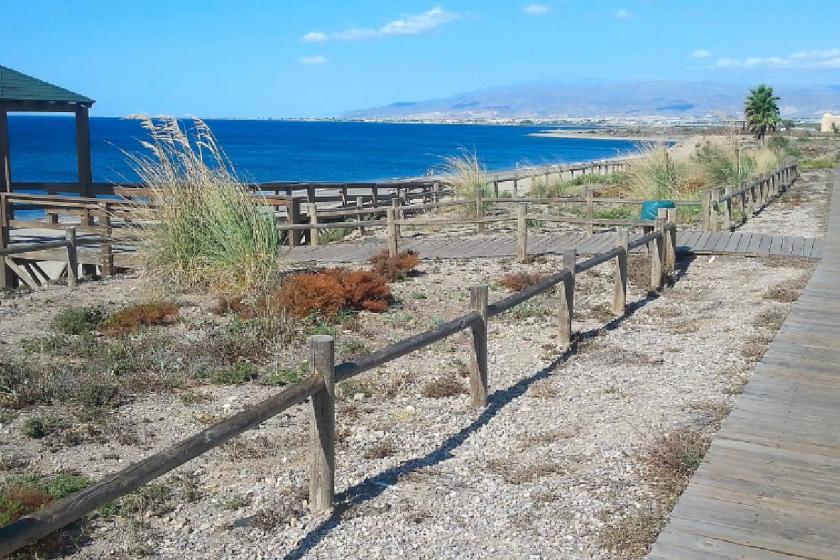 Almería-El Toyo. Anthercas