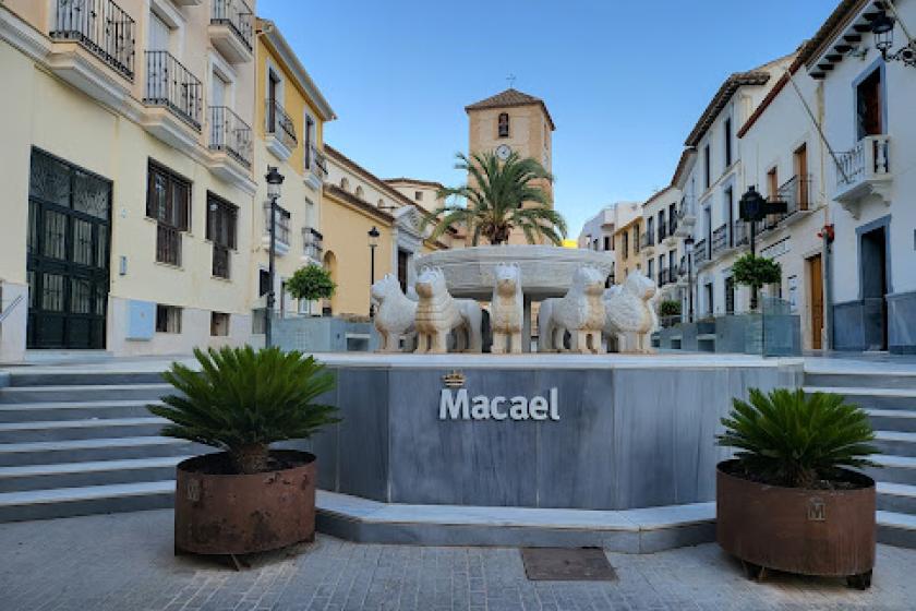 Fuente de los Leones