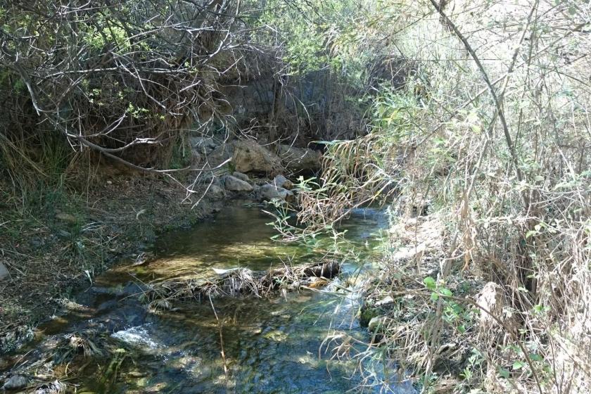 Tejar - Llanillo del Majuelo