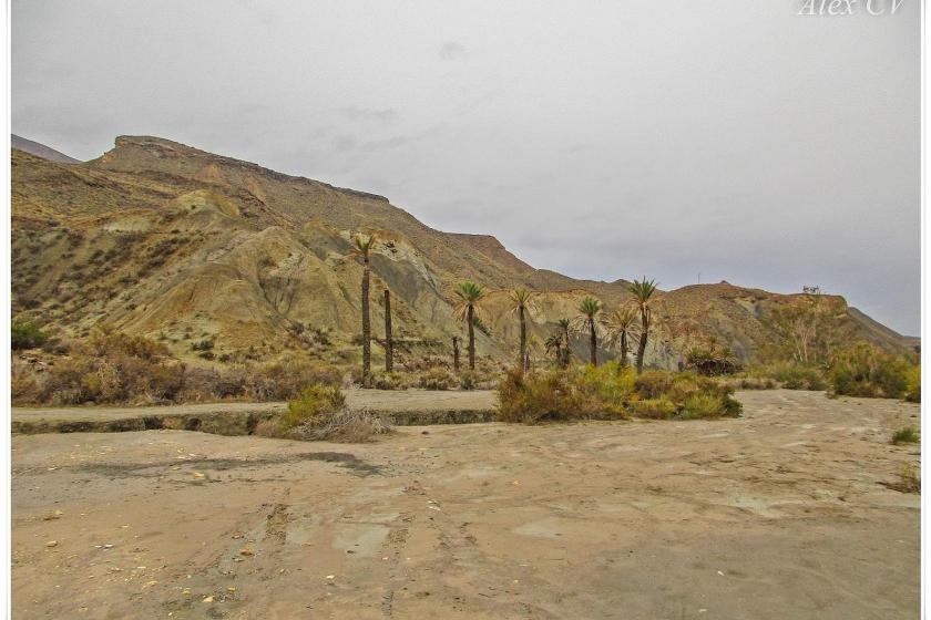 Desierto de Tabernas