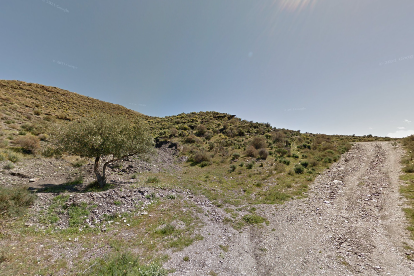 PARQUE NATURAL (NACIMIENTO)